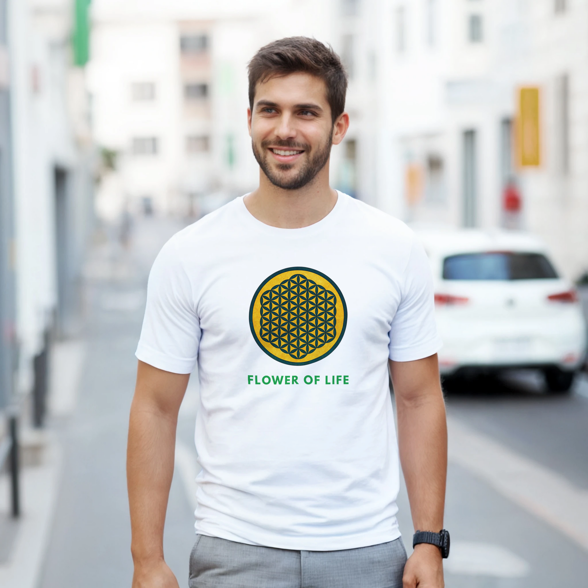 c33d385b-b88f-4c04-beba-36d4984c9f23